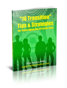 18 Transition Strategies final